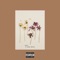 Conclusions - Rob Curly lyrics