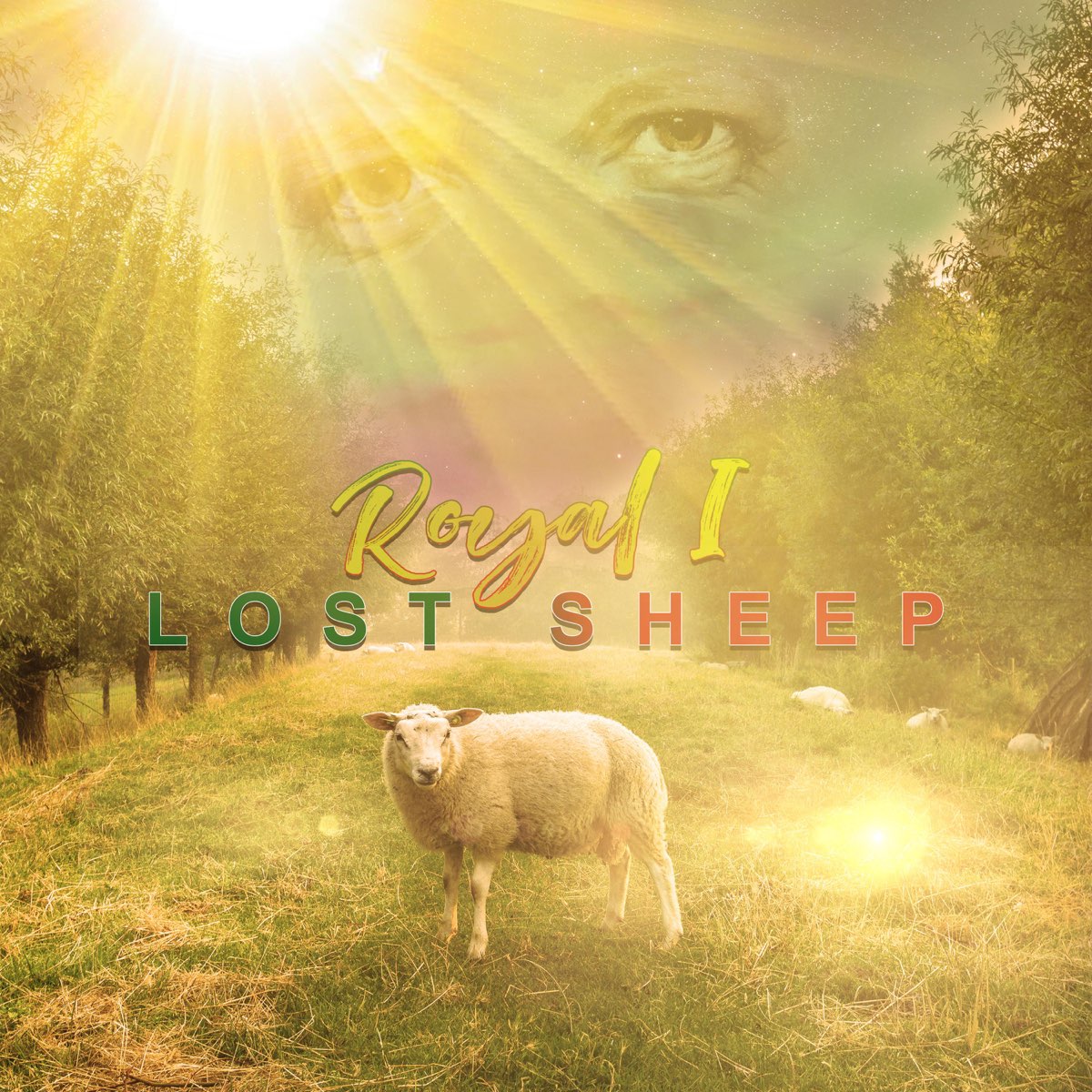 Lost sheep