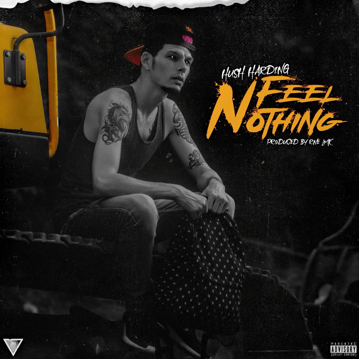 Feel nothing better. Feel nothing. Hush песня. Hu'sh песня. Album Art Hush (Mont Remix).