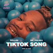 TikTok Song (feat. Mr. Polska & Puri) artwork