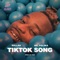 TikTok Song (feat. Mr. Polska & Puri) artwork