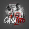 Stream & download Canalito (feat. Wildey) - Single