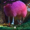 Help You Out (feat. Jonathon Robins) - Leonell Cassio lyrics