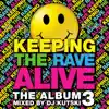 Keeping the Rave Alive: The Album, Vol. 3 album lyrics, reviews, download