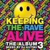 Keeping the Rave Alive: The Album, Vol. 3