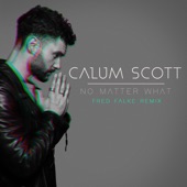 No Matter What (Fred Falke Remix) artwork