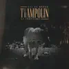 El Trampolín (feat. El Fantasma) - Single album lyrics, reviews, download
