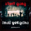 Imali Yokgcina - Single