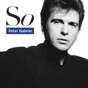 In Your Eyes by Peter Gabriel