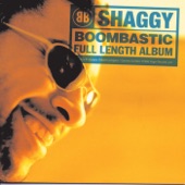 Shaggy - The Train Is Coming