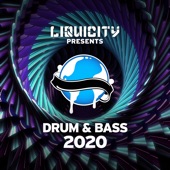 Liquicity Drum & Bass 2020 artwork