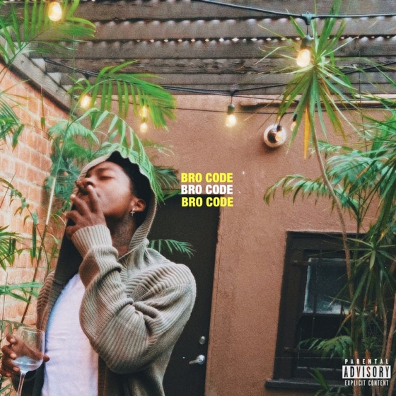 Cover artwork for Bro Code