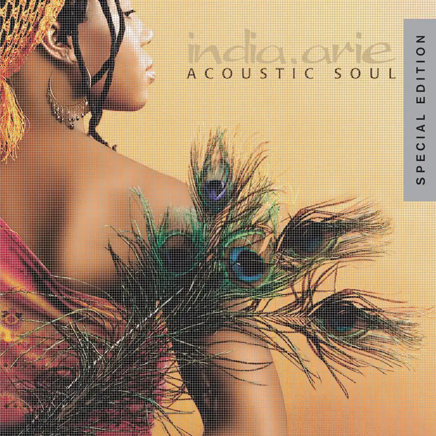 India.Arie - Acoustic Soul (Special Edition) (2007) [iTunes Plus AAC M4A]-新房子