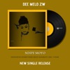 Dee Melo ZW - Ndipe Moyo