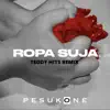 Plays Ropa Suja (Teddy Hits remix) song lyrics