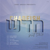 Chadeish (feat. Shlomo Simcha, Rivie Schwebel & Avrumi Schwebel) artwork