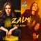 Zalmi Kingdom (feat. Altamash) - Abdullah Siddiqui lyrics