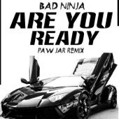 Are You Ready (PAW JAR Remix) artwork