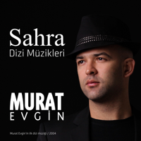 Murat Evgin