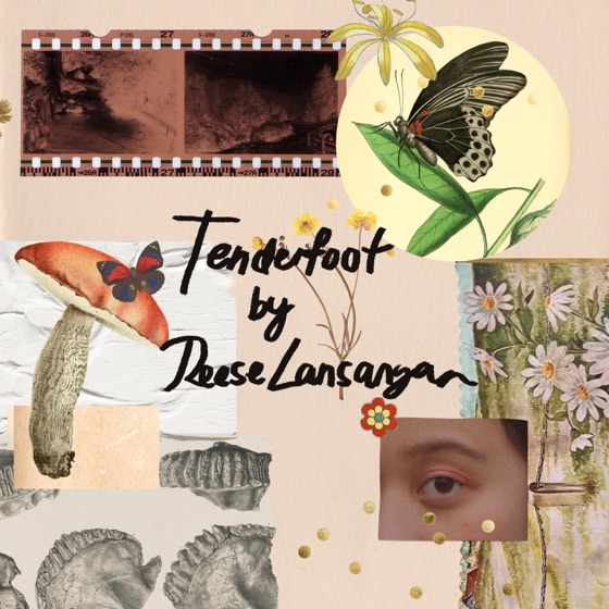 Cover artwork for Tenderfoot