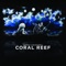 Coral Reef - Kerry Courtney lyrics