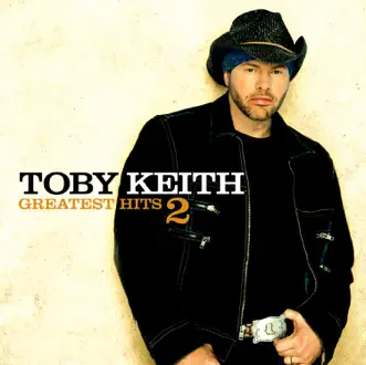 I Wanna Talk About Me by Toby Keith song reviws