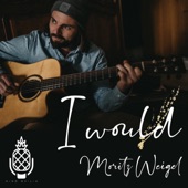 I would (feat. The Flying Mosquito Brothers & Nino Oxilia) artwork