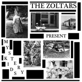 The Zoltars - Vulnerability
