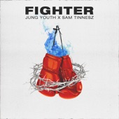 Fighter artwork