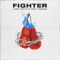 Fighter artwork
