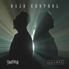 Bajo Control (feat. JuanPa Landázuri) - Single