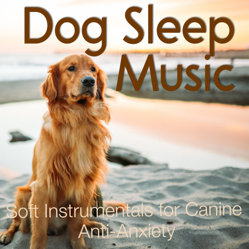relax my dog dog lullaby