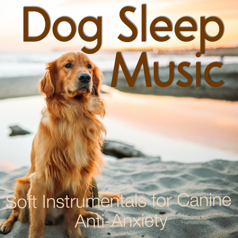 soft dog music