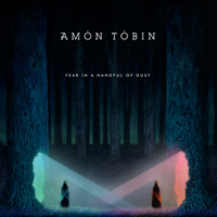 Amon Tobin - Fear in a Handful of Dust artwork