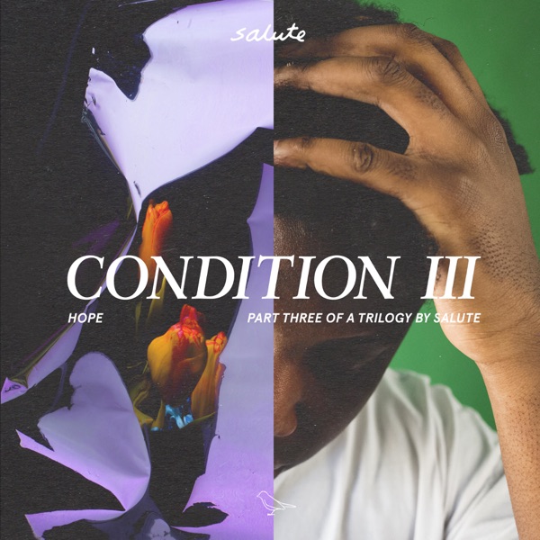 Condition III - Single - salute