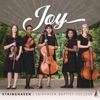 Joy (feat. Stringhaven)