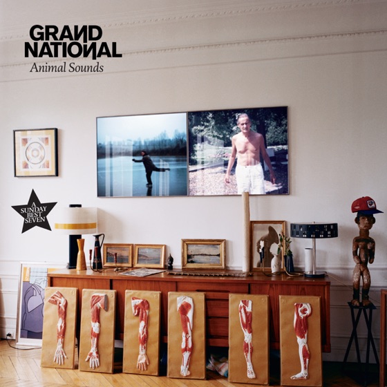 Cover artwork for Animal Sounds