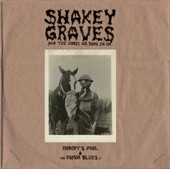 Shakey Graves - If Not For You (Demo)