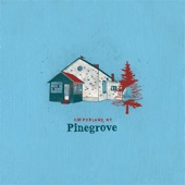 Pinegrove - Dotted Line (Amperland, NY)