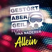 Allein (feat. Tina Naderer) artwork