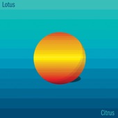 Lotus - Condor