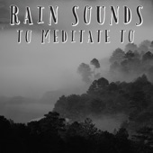 Sounds of Rain artwork