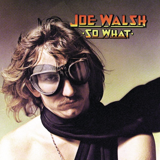 Art for Turn To Stone by Joe Walsh