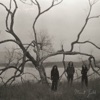 Mint Field - Ella Se Queda