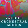 Various Orchestral Moods album lyrics, reviews, download