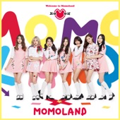 Welcome to MOMOLAND - EP artwork