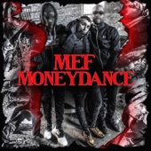 Moneydance artwork