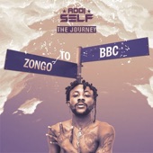 The Journey (Zongo to BBC) artwork