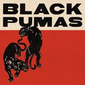 Black Pumas - Strangers (feat. Lucius)