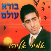 אנא נורא artwork